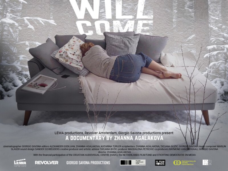 A little gray wolf will come-DOP